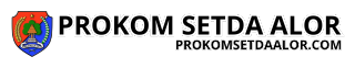 logo-footer